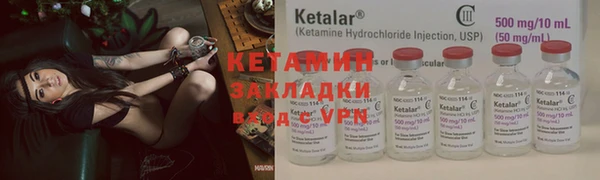шишки Верхний Тагил