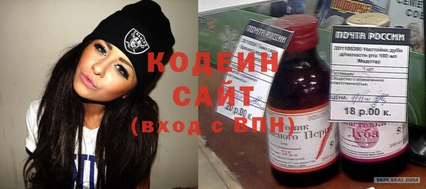шишки Верхний Тагил