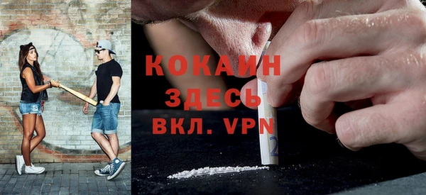шишки Верхний Тагил