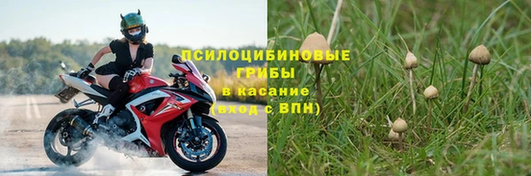 бутират Верея