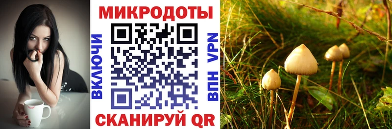 купить наркоту  Первомайск  Псилоцибиновые грибы Cubensis 
